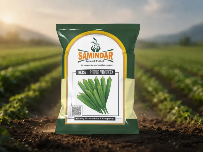 Okra - Phule Vimukta